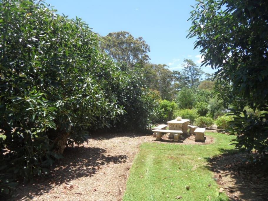 Moonya Avocado Farm Cottage - With Early Check-In 谭伯连山 外观 照片